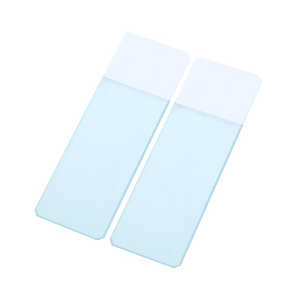 Portaobjetos Borde Esmerilado Frosted End - Caja x 50 Unidades