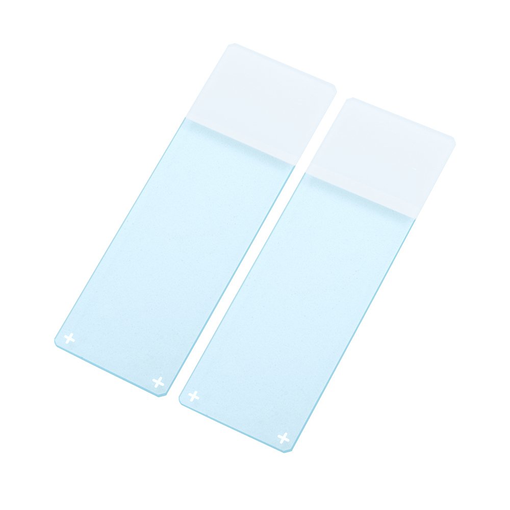 Portaobjetos con Carga Positiva - Caja x 72 Unidades